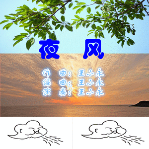 夜风（葫芦丝独奏）