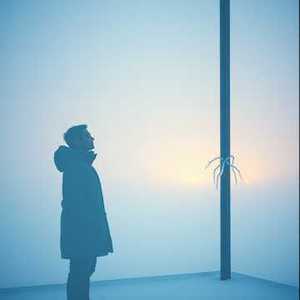 冬天的雪纷纷飘落了