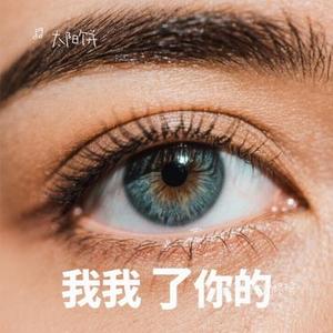 让我做你的眼睛 (Cover 子芮)