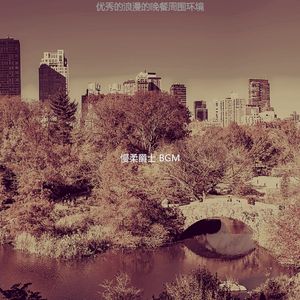 精彩威士忌酒吧环境