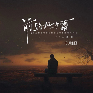 前路风与霜 (DJ版)