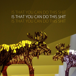 Is That You Can Do This **** (head crash mix)