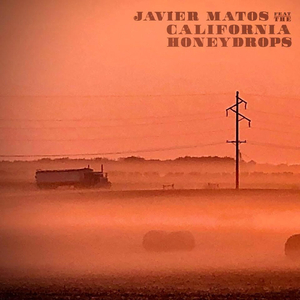 Pebble in My Shoe (feat. The California Honeydrops)