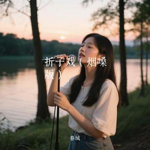 折子戏 (Remix)