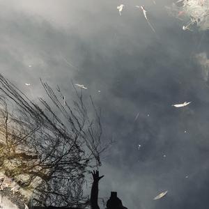 世间人我浊凡尘（翻自 群星）