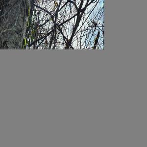 baby f**k me it up more often