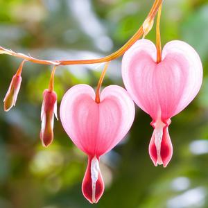 爱情的甜蜜就我能体会