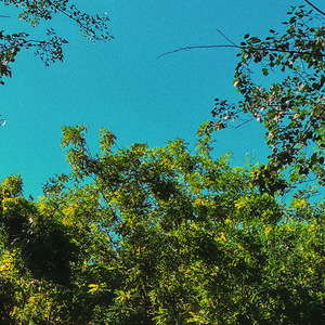 想要拥抱你在怀里