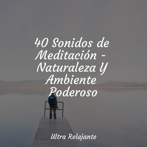 Hojas Revoloteando Hacia Abajo