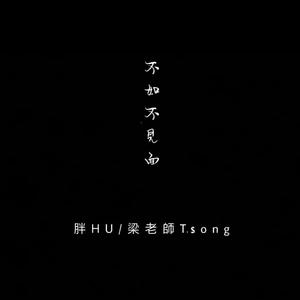 梁老师Tsong-不如不见面（胖HU Remix）
