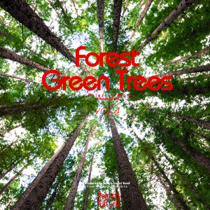 스트레스에서 벗어나고 싶을 때 듣는 자연의 소리