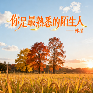 你是最熟悉的陌生人