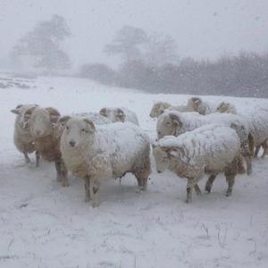 MEMORY(feat.macovaseas)