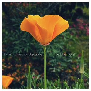 Reflejos