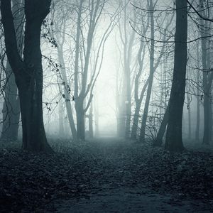 October (Autumn)