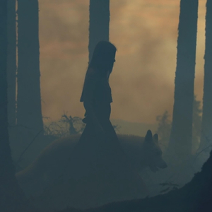 Viking Music (Wolf Spirit)