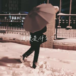 浪漫是什么【已售】