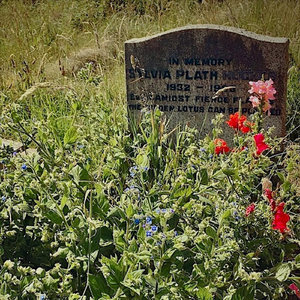 Sylvia's Grave