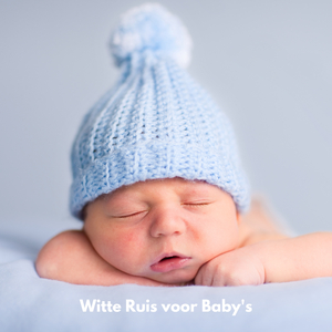 Weltrusten Baby Witte Ruis (Loopbar)