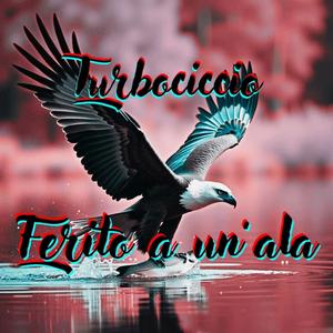 Ferito a un'ala