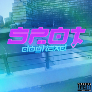 Spot