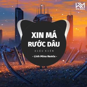 Xin Má Rước Dâu (Remix)