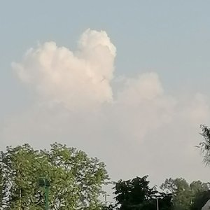 澤