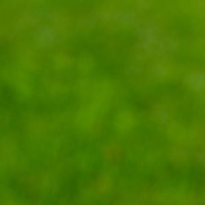 岑宁儿-追光者(Remix)