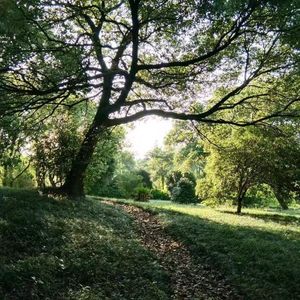 定风波·南海归赠王定国侍人寓娘