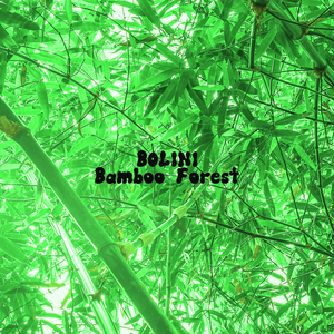 Bamboo Forest