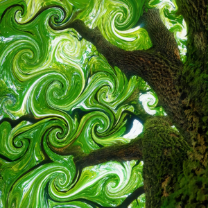 秋悟（Prod.David Z 郑大维）