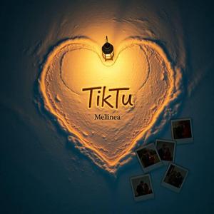TikTu