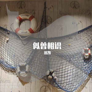 《老男孩》半音阶口琴-