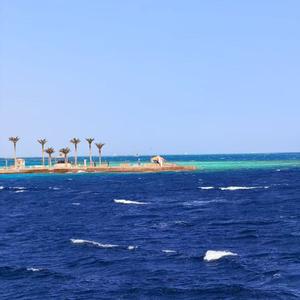 愿小泠永远不离