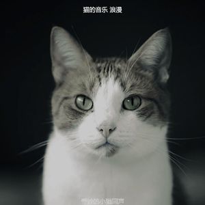 一尘不染时刻印象数