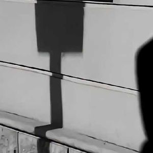 《春日繁花的逐梦之旅》