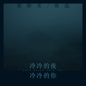 冷冷的夜冷冷的你