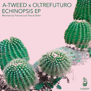 Echinopsis (Tolouse Low Trax Remix)