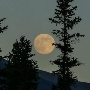 梦醒（prod by RedRumMusic）