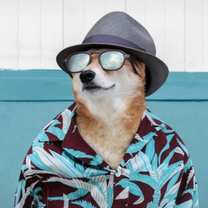 风平浪静cover伍佰