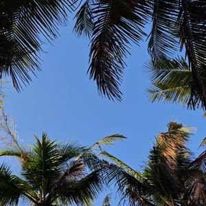 暧昧三十三天（Cover.暴躁的兔子)