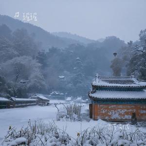 那就让眼泪落下（专属版）