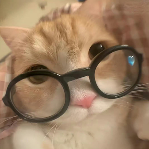 原来思念也有生命