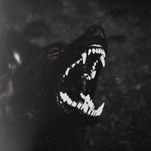 Howl like a Wolf (dreem Remix)