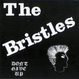 Bristles Song