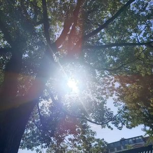 天地之子（The child of heaben and earth）