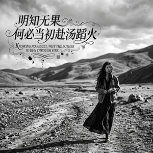 明知无果何必当初赴汤蹈火
