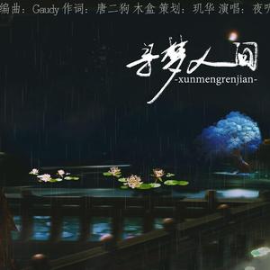 寻梦人间(instrumental)