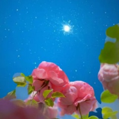 爱就爱了错就错了