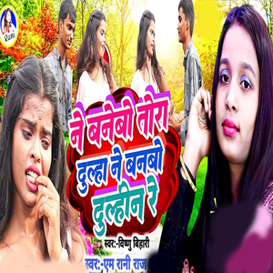 Ne Bnebo Tora Dulha Ne Banbo Dulhin Re